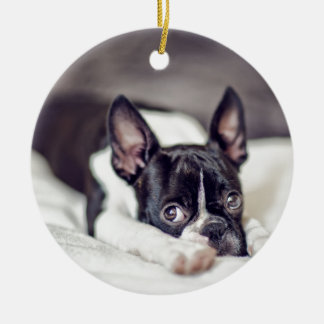 Boston Terrier Puppy Ceramic Tree Decoration