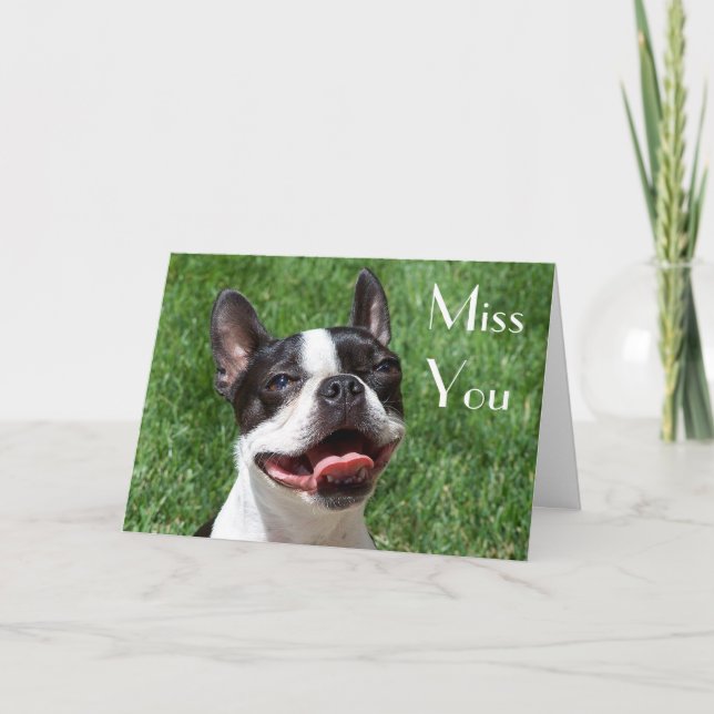 Boston Terrier Puppy Dog Miss You Greeting Card (Front)