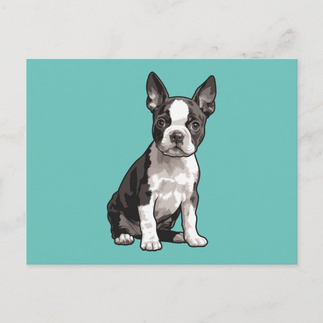 Boston Terrier  Puppy Dog Postcard  (Front)