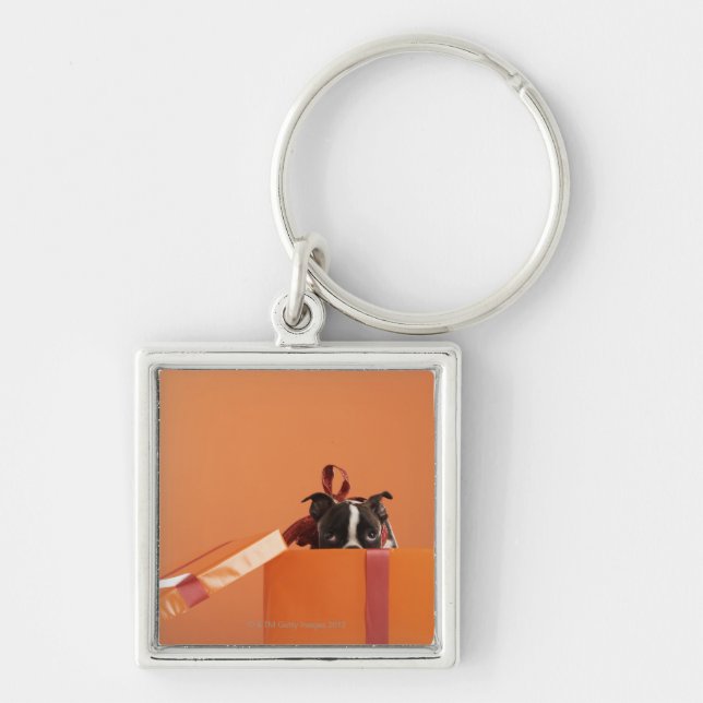 Boston terrier puppy in gift box key ring (Front)