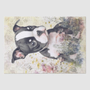 Boston Terrier Puppy Watercolor Tissue Paper