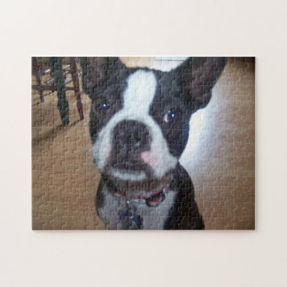 BOSTON TERRIER PUZZLE