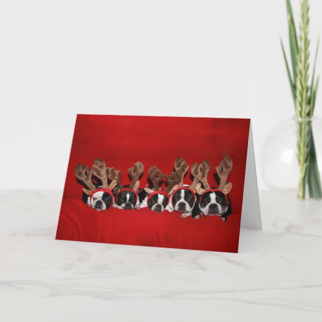 Boston Terrier Reindeer Christmas Card (Front)