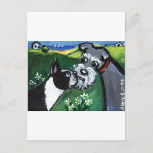 Boston Terrier & Schnauzer sniff Postcard