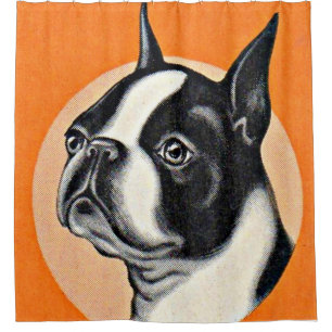 Boston terrier shower curtain