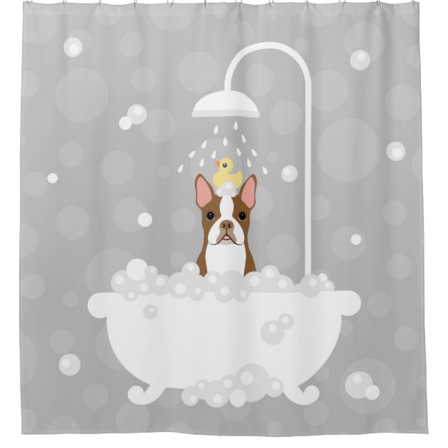 Boston Terrier Shower Curtain (Front)