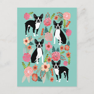 Boston Terrier Spring flowers -cute boston terrier Postcard