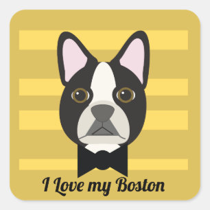 Boston Terrier Square Sticker
