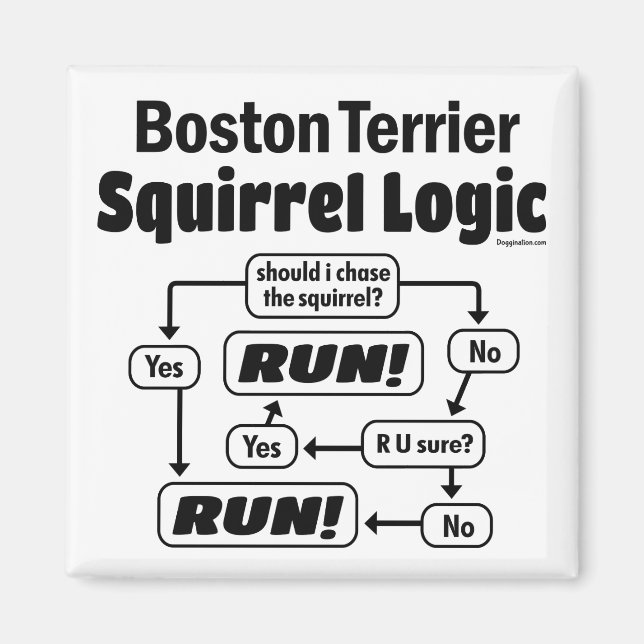 Boston Terrier Squirrel Logic Magnet (Front)