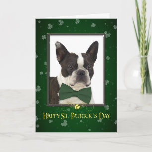 Boston Terrier St. Patrick's Day Card