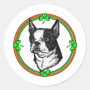 Boston Terrier St Patrick's Day Classic Round Sticker