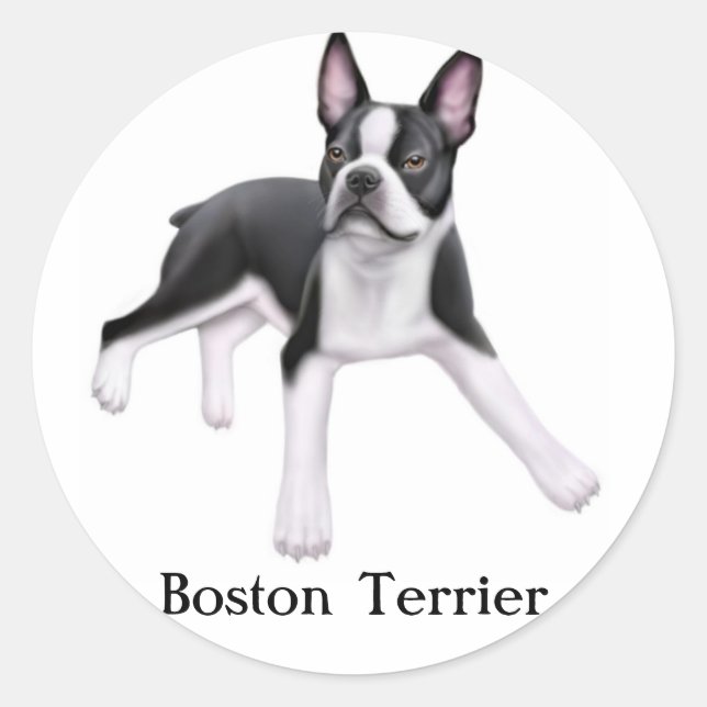 Boston Terrier Sticker (Front)