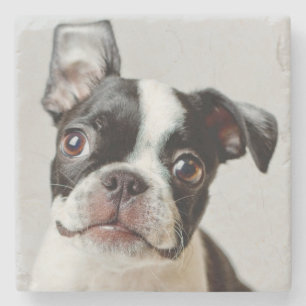 Boston Terrier Stone Coaster