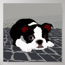 Boston Terrier Stone Paving Wall Art Poster
