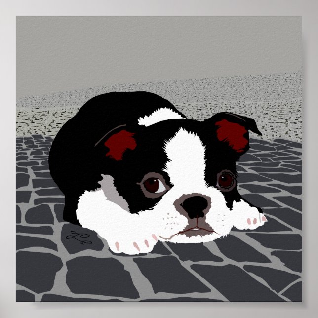 Boston Terrier Stone Paving Wall Art Poster (Front)