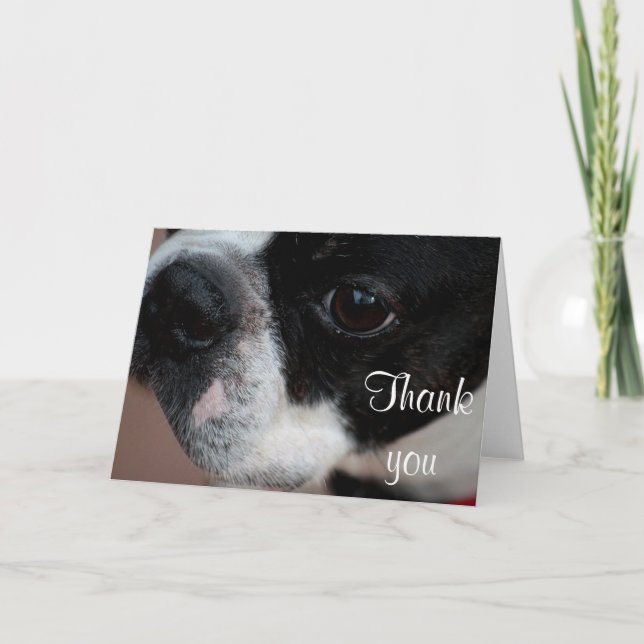 Boston terrier thank you card (Front)