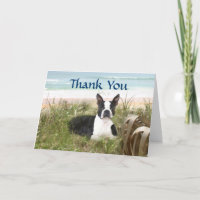 Boston Terrier Thank You Card Beachgrass