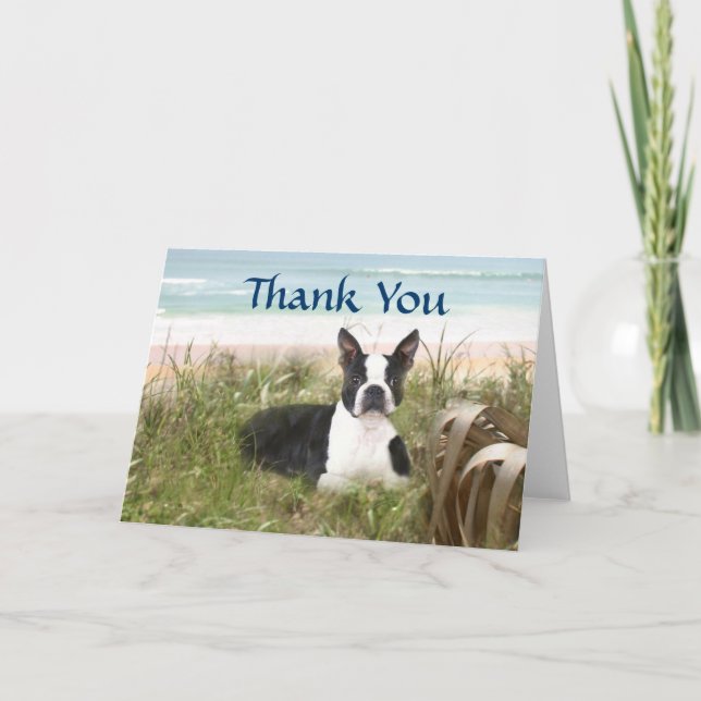 Boston Terrier Thank You Card Beachgrass (Front)