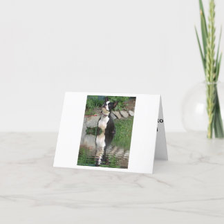 Boston Terrier thinking about you card