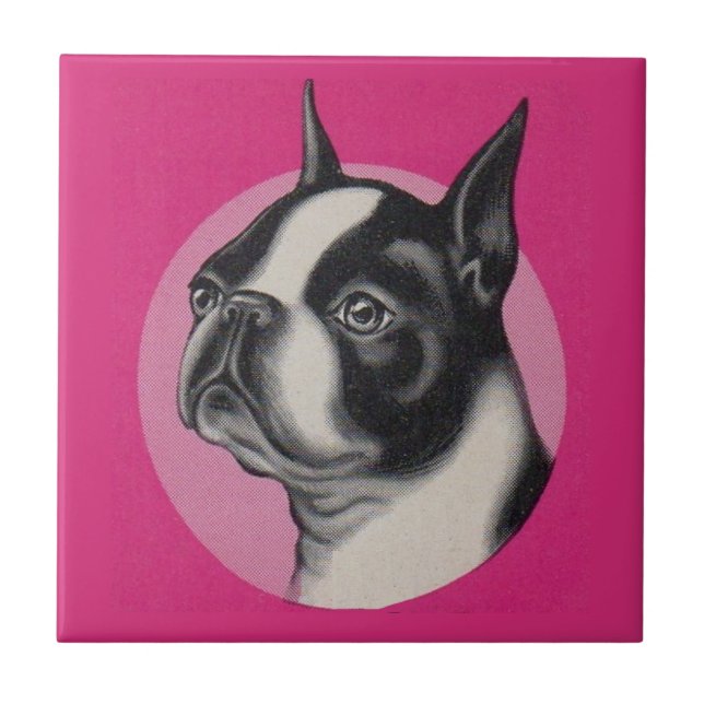 Boston terrier tile (Front)