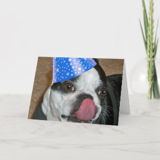 Boston Terrier Tongue Happy Birthday Card