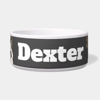 Boston Terrier triangle