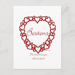 Boston Terrier True Love Postcard