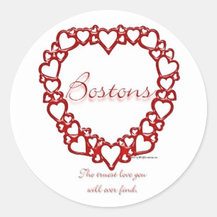 Boston Terrier True Love - Sticker
