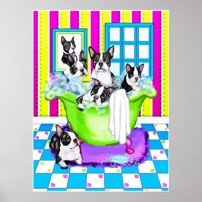 Boston Terrier Tub Full Poster (Front)