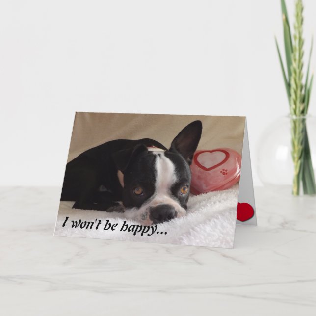 Boston Terrier Valentine's Day Card (Front)