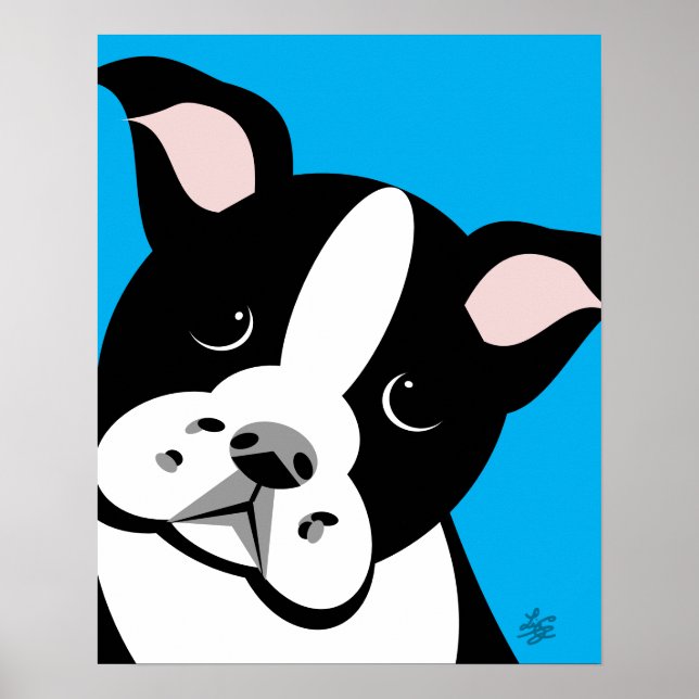 Boston Terrier Vector Portrait  Poster (Front)