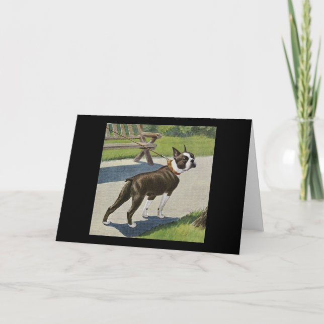 Boston Terrier Vintage Greeting Card (Front)
