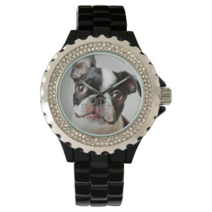 Boston Terrier Watch
