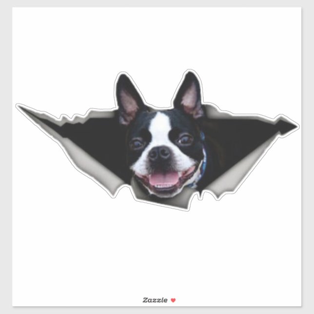 Boston Terrier window sticker, car sticker (Sheet)