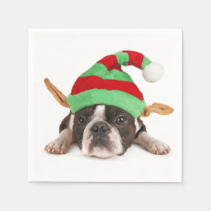 Boston Terrier With A Christmas Hat Napkin