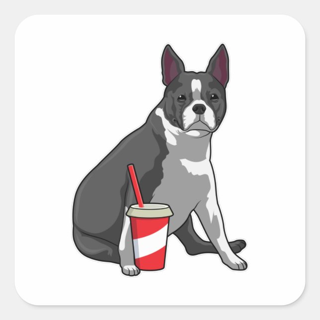 Boston Terrier with Drink Square Sticker (Front)
