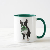 Boston Terrier With Green Moustache And Spotty