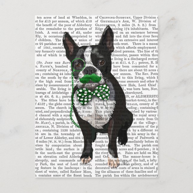 Boston Terrier With Green Moustache And Spotty Postcard (Front)