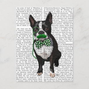 Boston Terrier With Green Moustache And Spotty Postcard