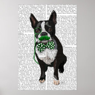 Boston Terrier With Green Moustache Poster