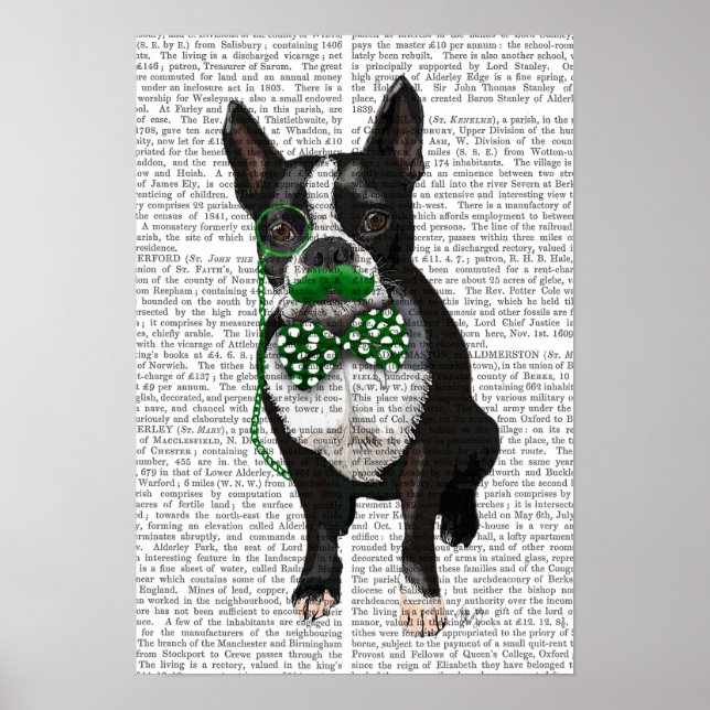 Boston Terrier With Green Moustache Poster (Front)