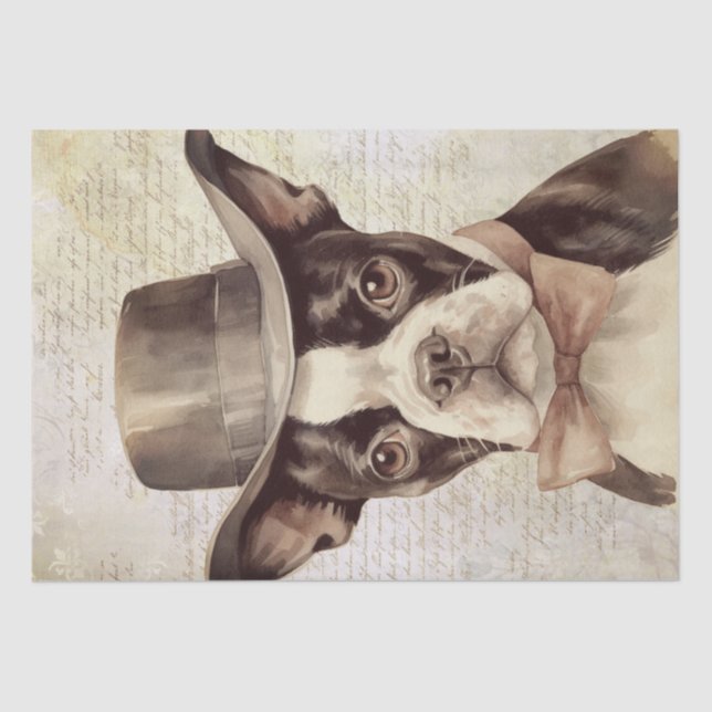 Boston Terrier with Hat Vintage Tissue Paper (Front)