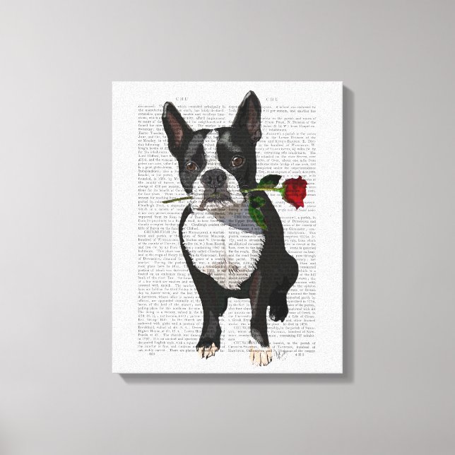 Boston Terrier with Rose in Mouth Canvas Print (Front)