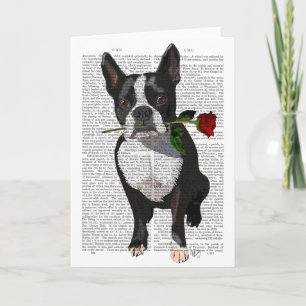 Boston Terrier with Rose in Mouth Card