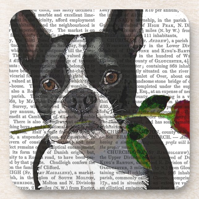 Boston Terrier with Rose in Mouth Coaster (Front)