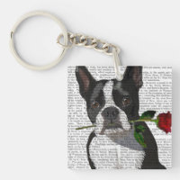 Boston Terrier with Rose in Mouth