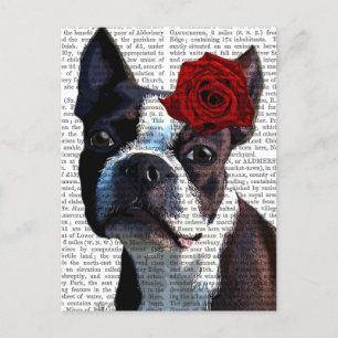 Boston Terrier with Rose on Head Postcard