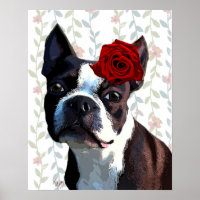 Boston Terrier with Rose on Head