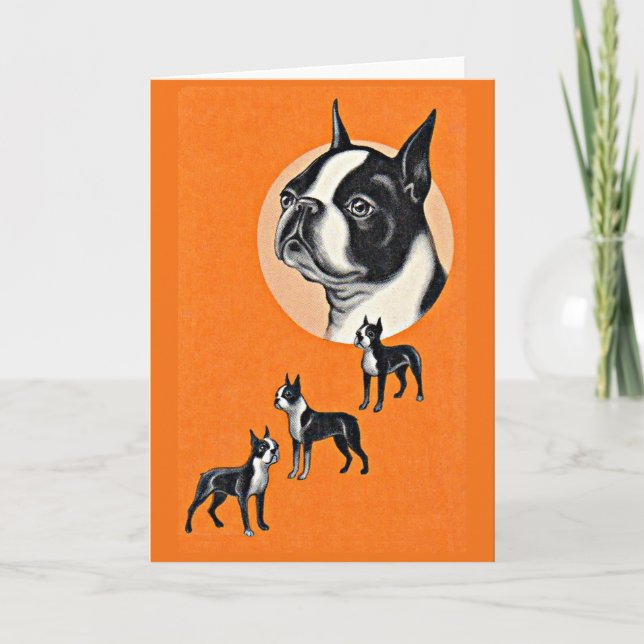 Boston terriers card (Front)