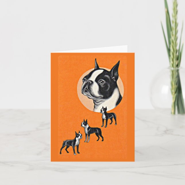 Boston terriers note card (Front)